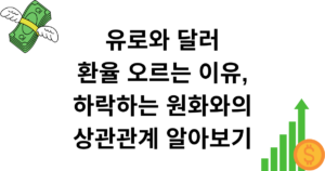 유로와 달러 환율 오르는 이유, 하락하는 원화와의 상관관계 알아보기